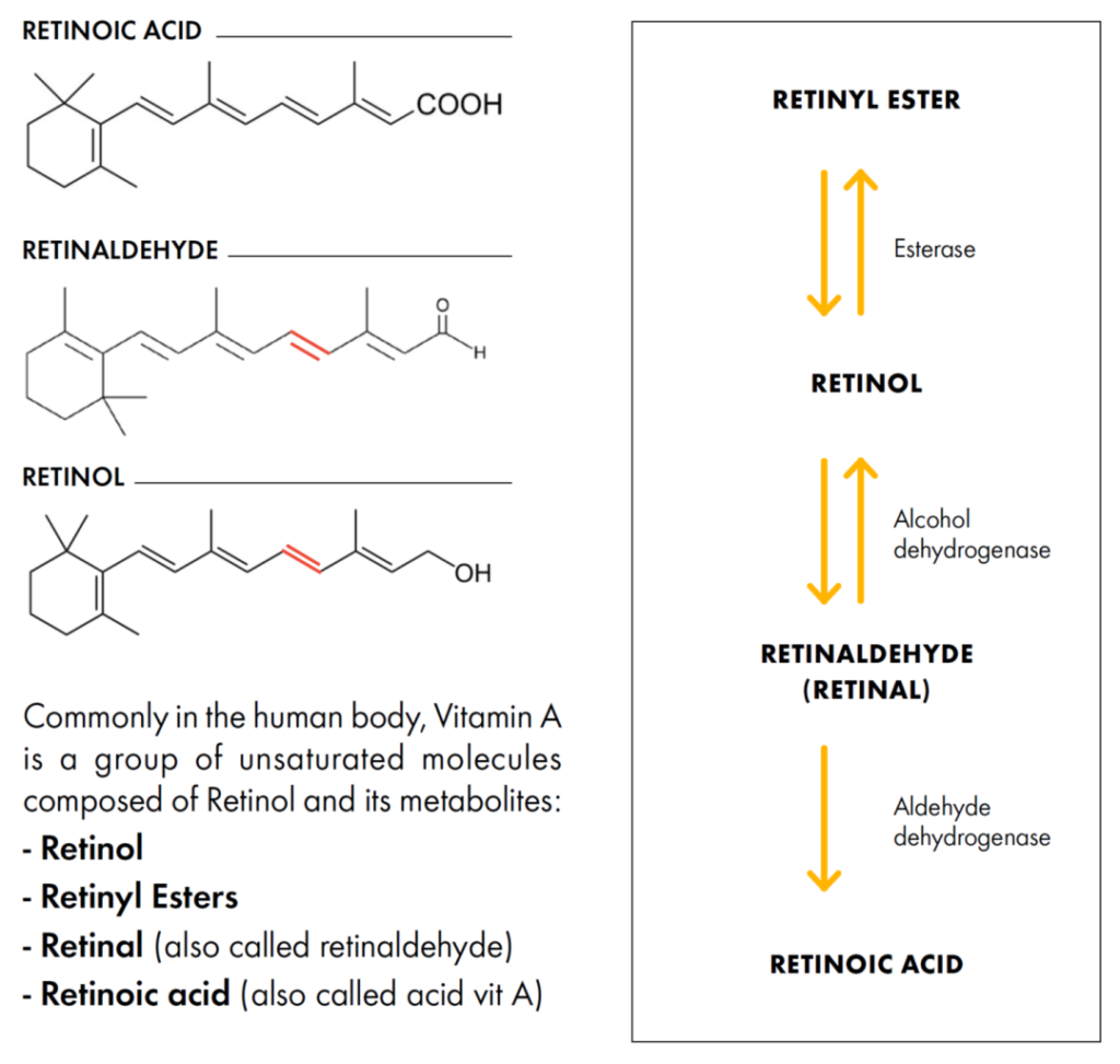 Figure 1. retinol for skin & its derivatives