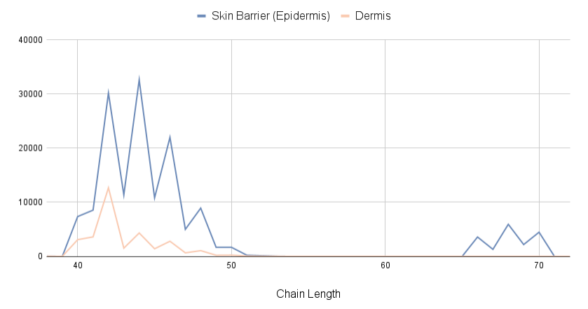 Free Ceramides In Dermis And Skin Barrier (Epidermis)