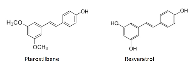 Pterostilbene