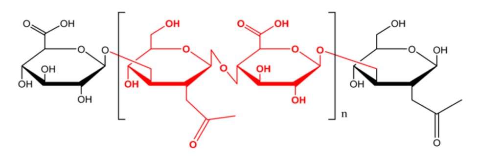 Chemical structure of hyaluronic acid