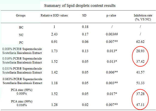 Scutellaria baicalensis extract benefits for inhibiting lipid droplets