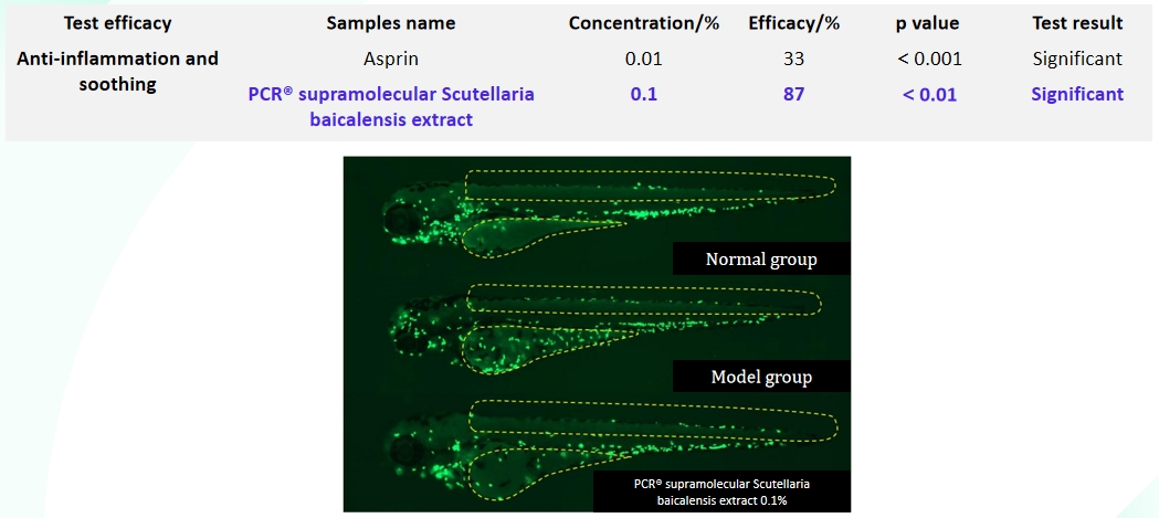 Zebrafish inflammation relief test