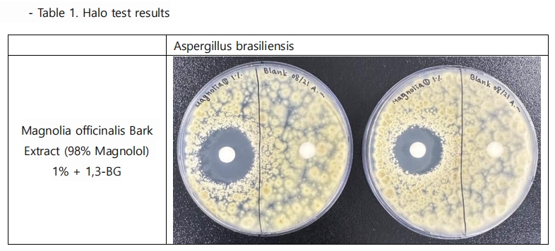 Anti-bacteria test result