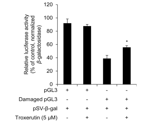 Figure. Troxerutin benefits in DNA protection