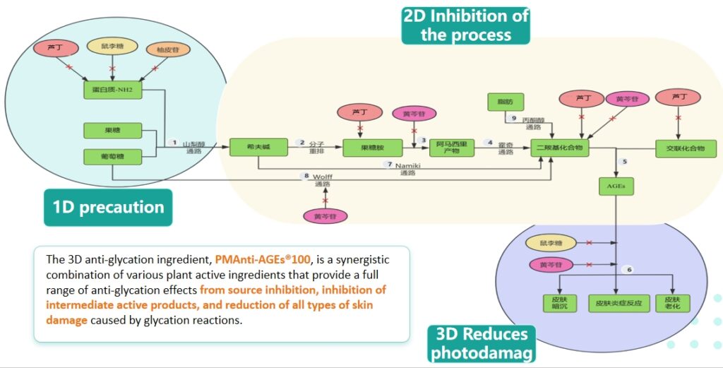 anti-glycation mechanism