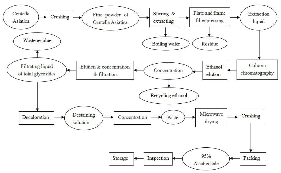 4.Madecassoside & Asiaticoside Manufacturer Flow Chart