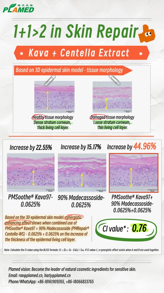 Plamed's poster about skin repair