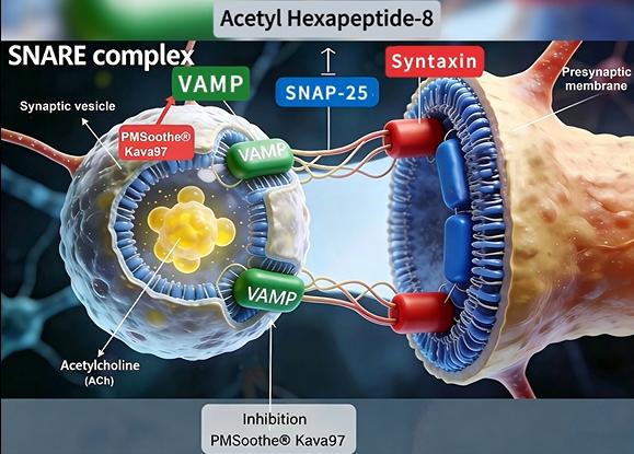 Complementary Inhibitory Effect | Plamed