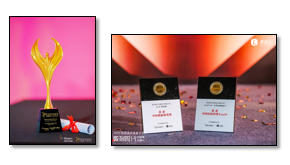Plamed's Innovation Qualifications