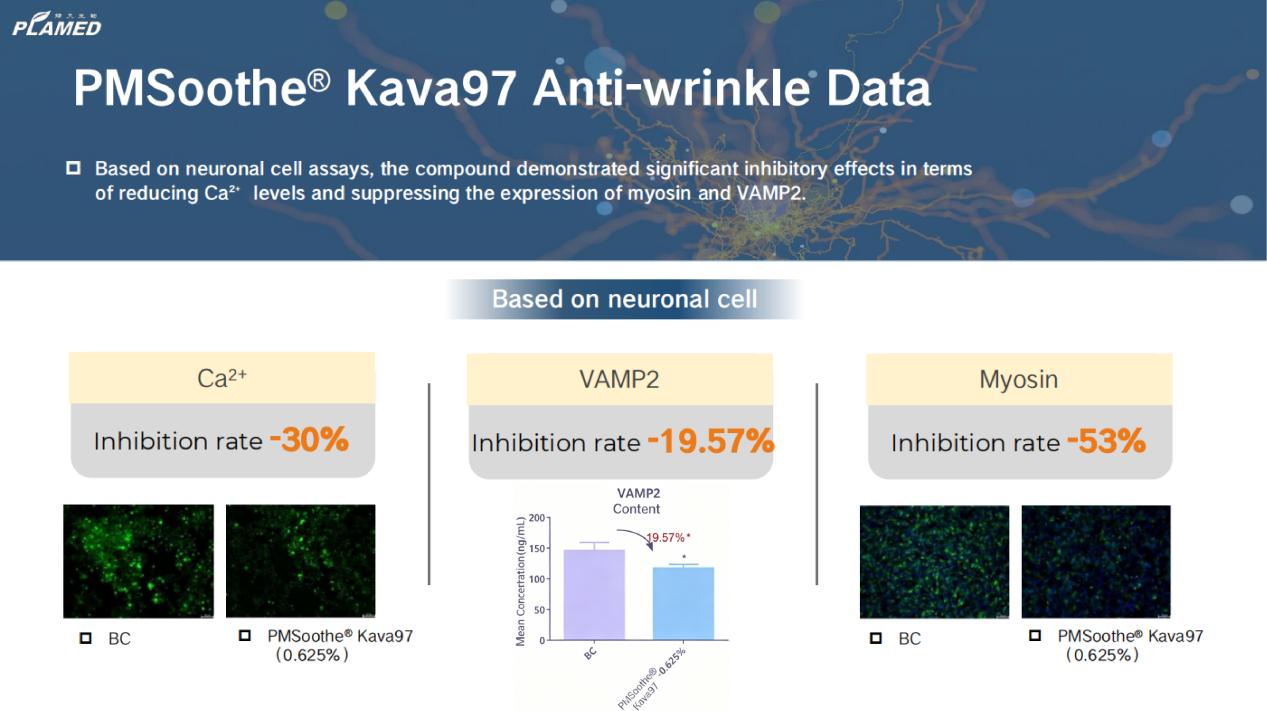 PMSoothe® Kava97 Anti-wrinkle Data | Plamed