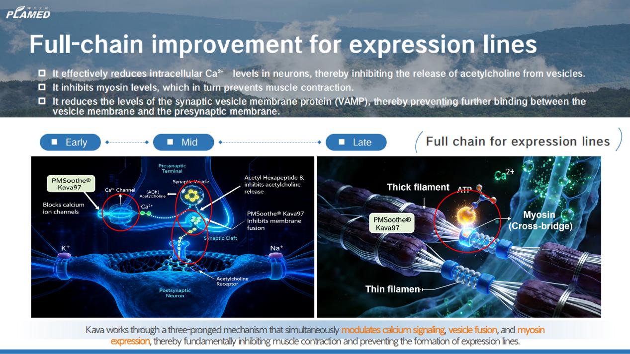 PMSoothe® Kava97 Full-Chain Improvement for Expression Lines | Plamed