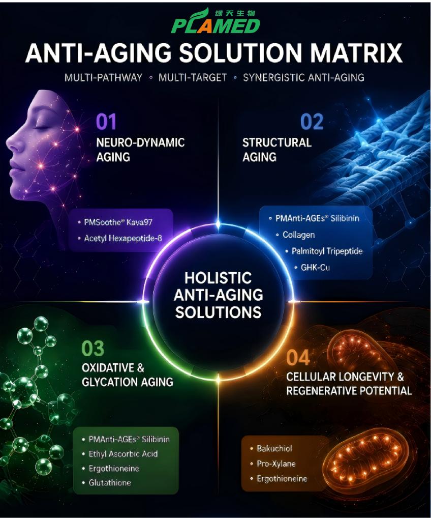 Plamed Anti-Aging Solution Matrix | Plamed