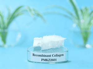 the picture of Plamed's Product: Recombinant-Collagen