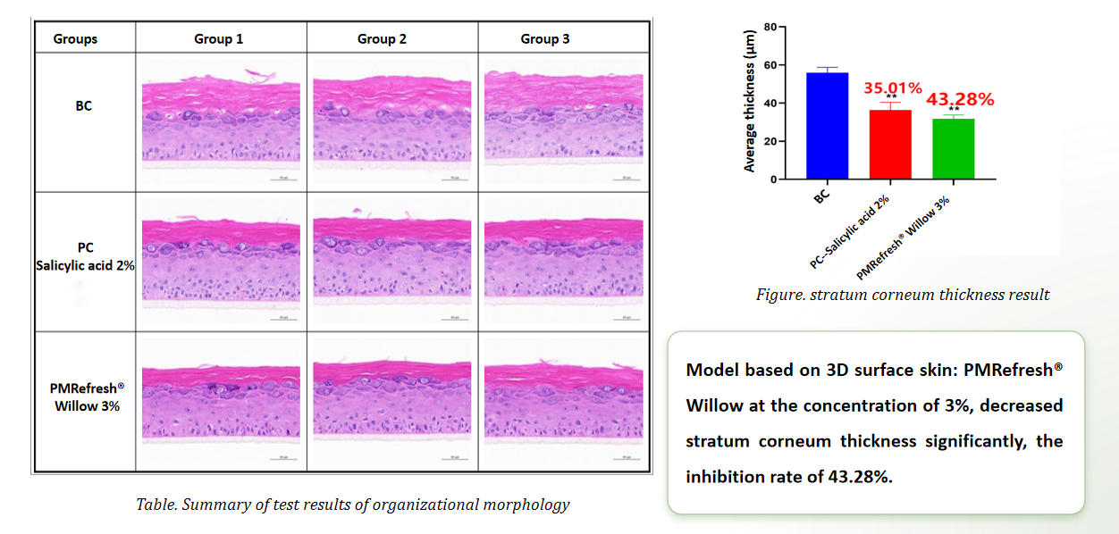 Exfoliation effect on 3D skin–Stratum corneum thickness test | Plamed