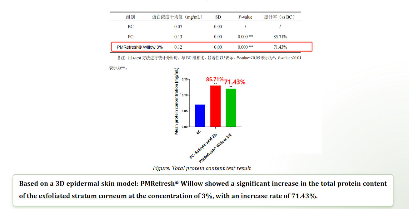 Exfoliation effect on 3D skin–Total protein content test | Plamed