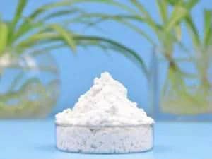 the picture of Plamed's Product: Tetrahydrocurcumin