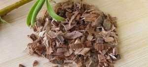 the image of white willow bark