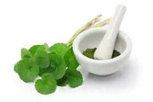the soure of Plamed's product Centella Extract