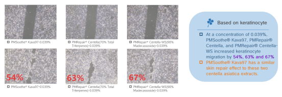 Cell Migration Rate Results | Plamed