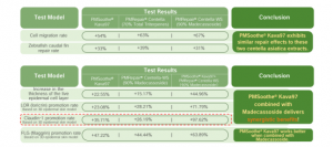 Synergistic Repair Efficacy Results | Plamed