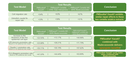 Synergistic Repair Efficacy Results | Plamed