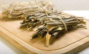 the picture of white willow bark