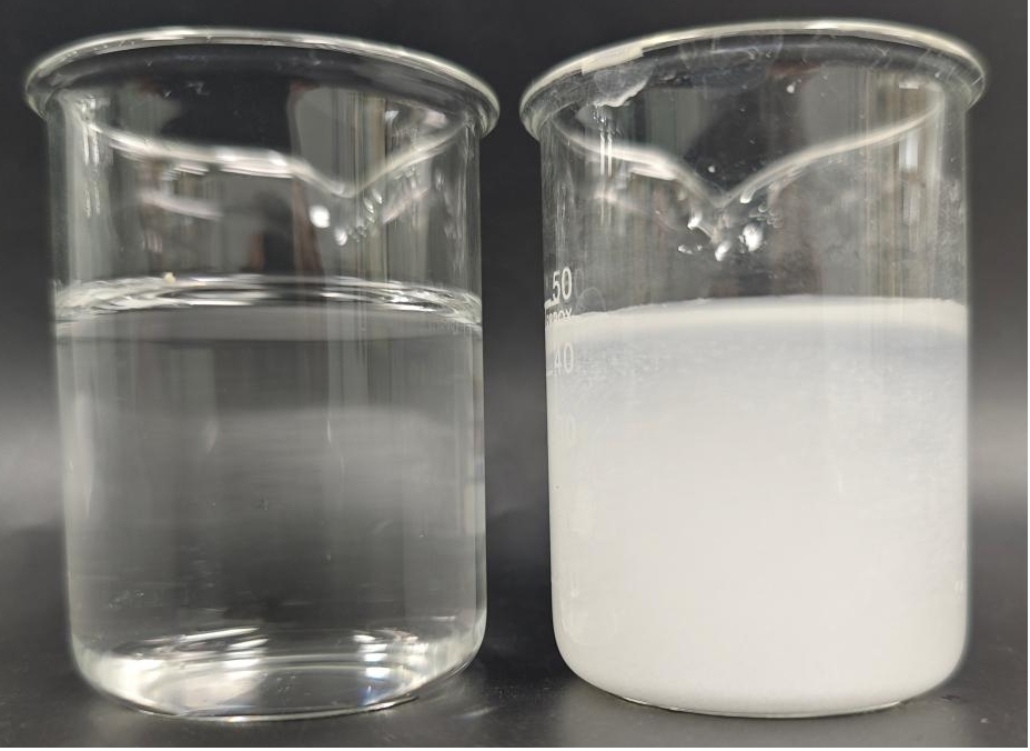 Improved clarity of botanical extract solution using supramolecular encapsulation