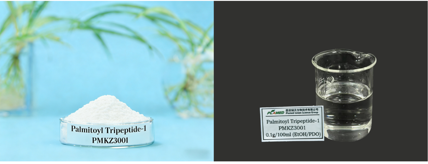 Skin Structure Formula